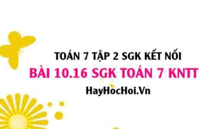 Bài 10.16 SGK Toán 7 Tập 2 Kết nối tri thức